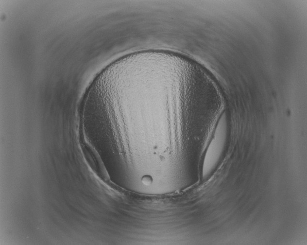 X0000074231508200609081608