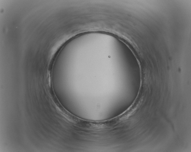 X0000074231509200609081608