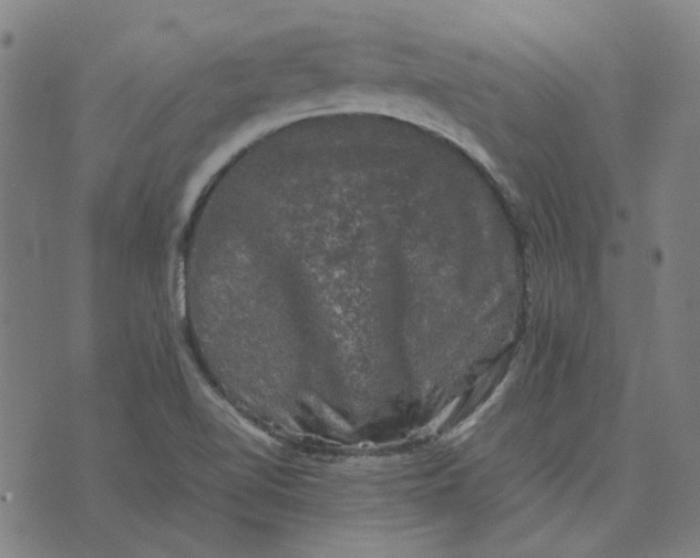 X0000074231510200609081608