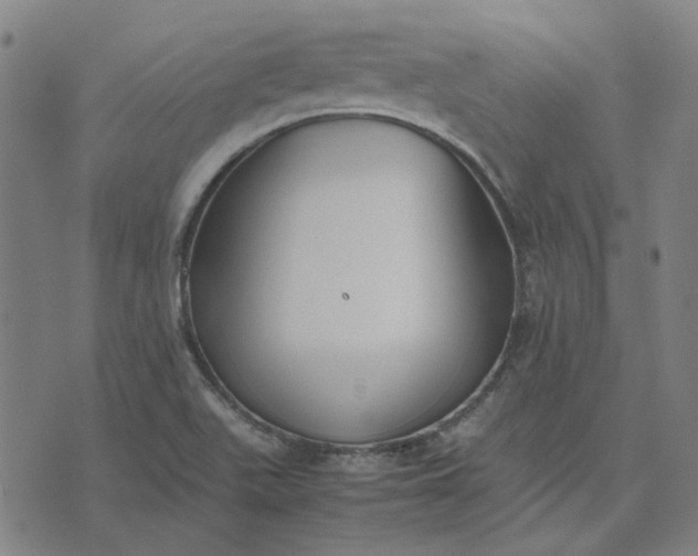 X0000074231511200609081608