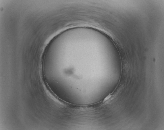 X0000074231518200609081608