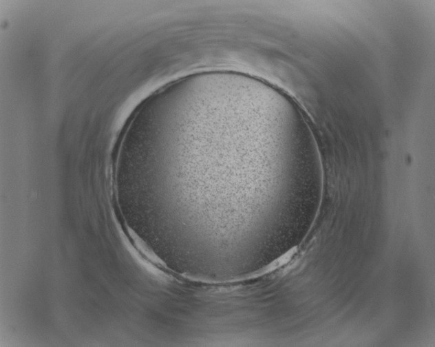 X0000074231519200609081608