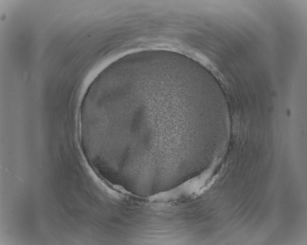 X0000074231520200609081608