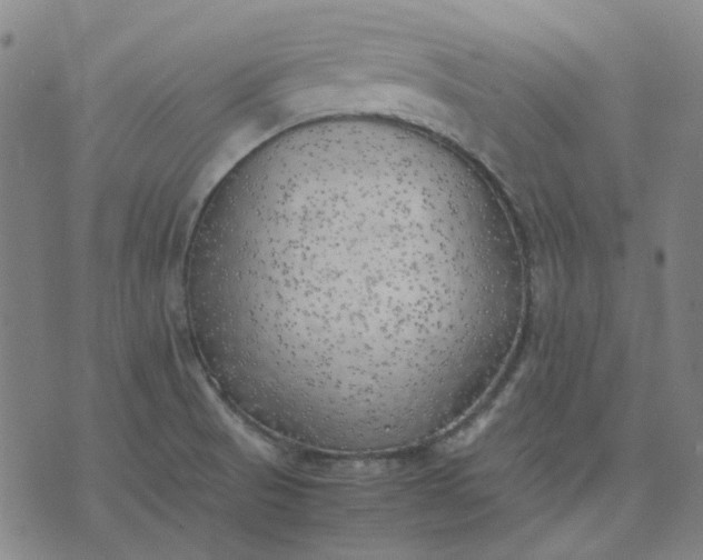 X0000074231521200609081608