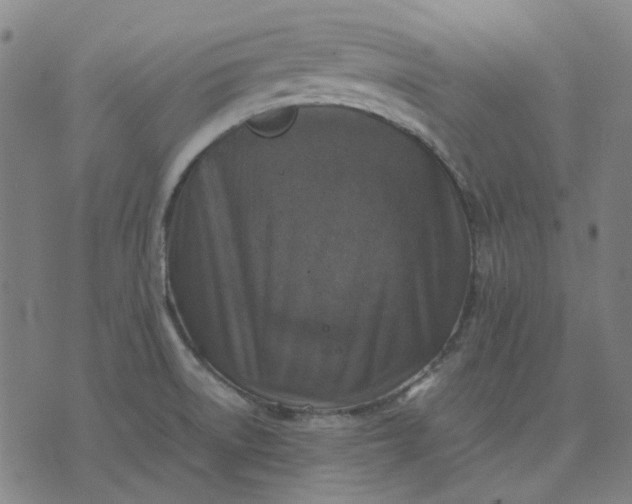 X0000074231522200609081608