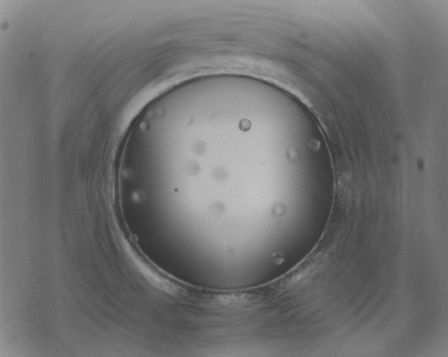 X0000074231523200609081608