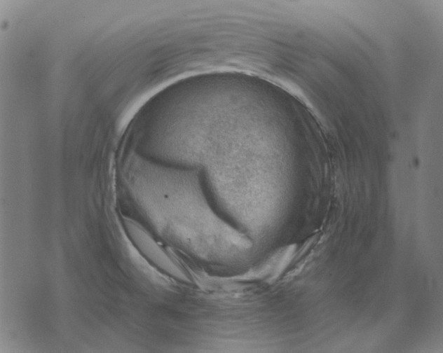 X0000074231524200609081608