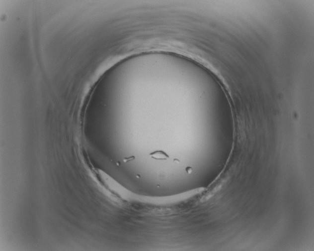 X0000074231525200609081608