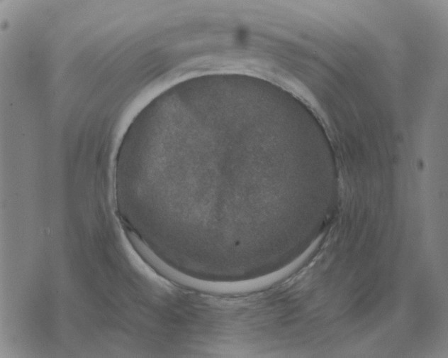 X0000074231528200609081608