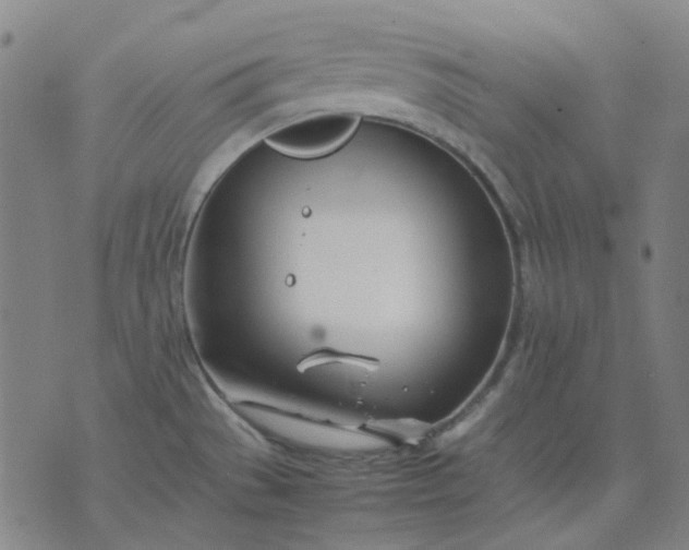 X0000074231529200609081608