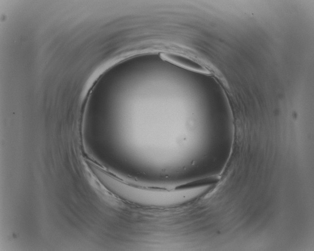 X0000074231530200609081608