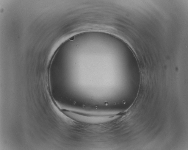 X0000074231531200609081608