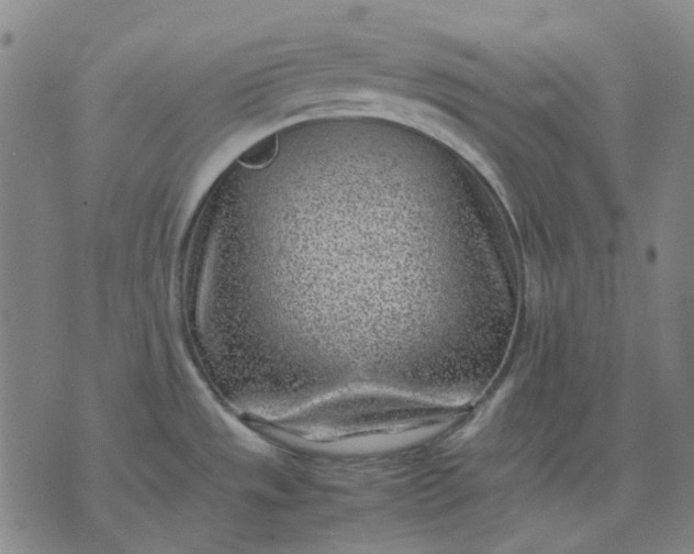 X0000074231533200609081608