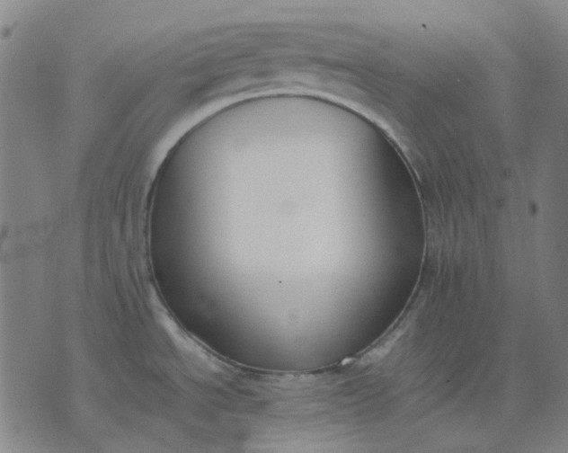 X0000074231534200609081608