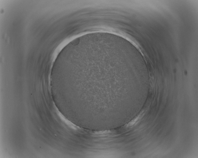 X0000074231535200609081608