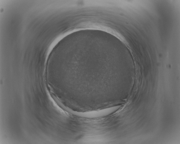 X0000074231536200609081608