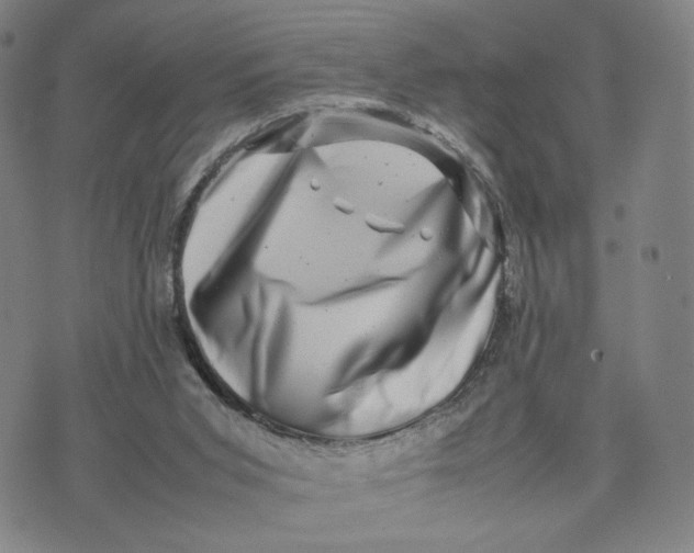 X0000074230015200609151657