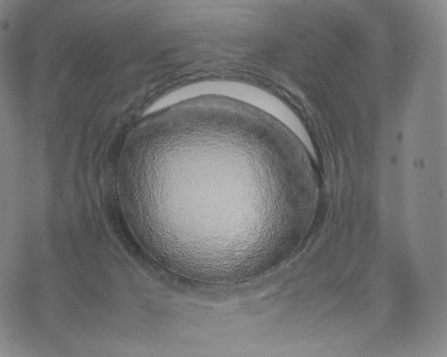 X0000074230029200609151657