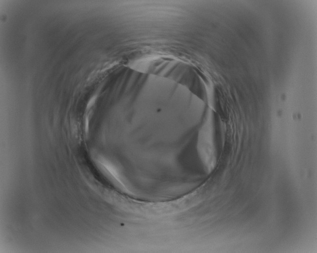 X0000074230031200609151657