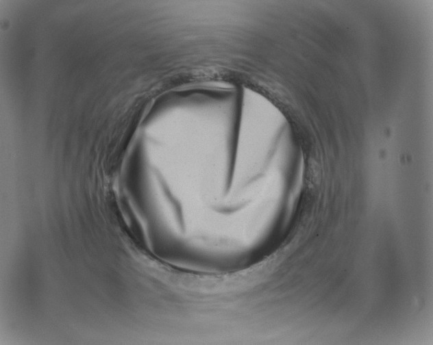 X0000074230037200609151657