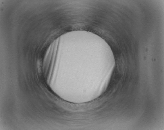 X0000074230038200609151657