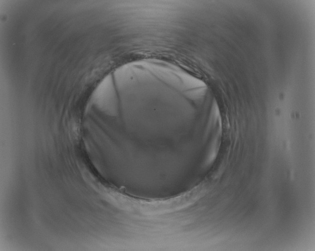 X0000074230039200609151657