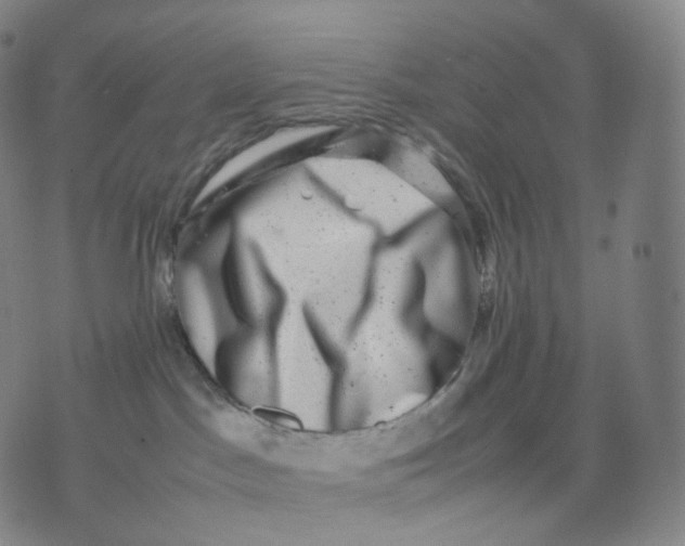X0000074230045200609151657