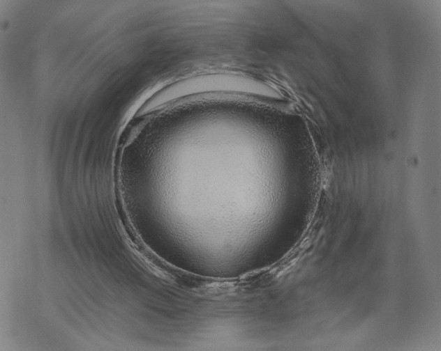 X0000074230052200609151656