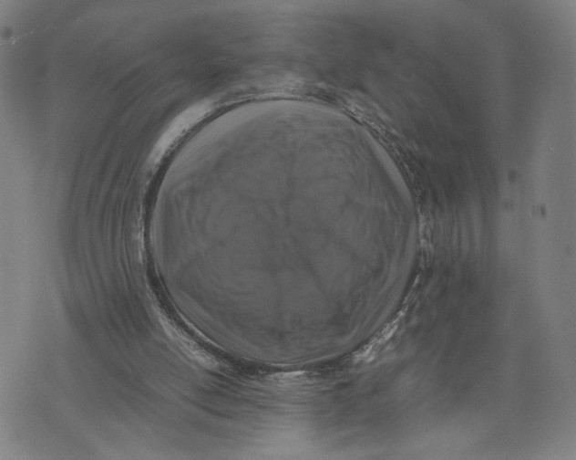X0000074230054200609151656