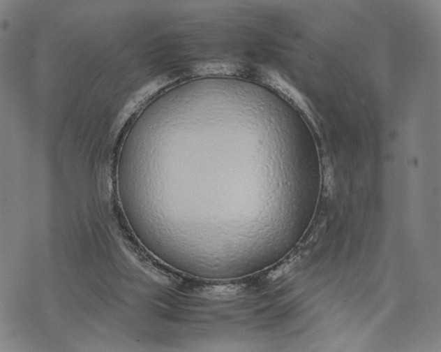 X0000074230059200609151656