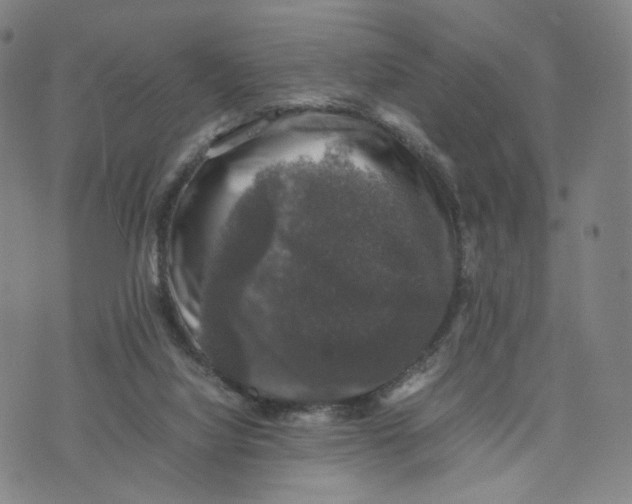 X0000074230068200609151656