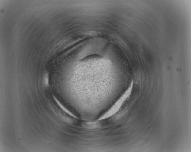 X0000074230095200609151657
