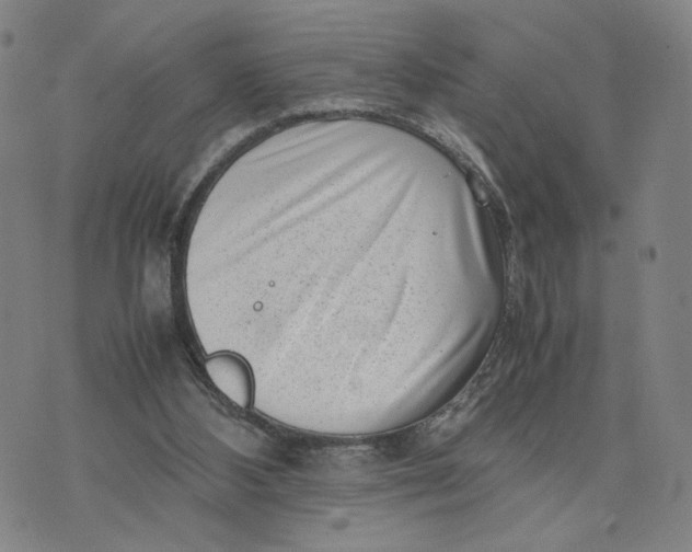 X0000074230108200609151656