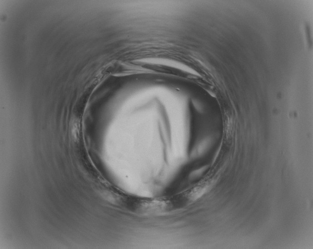 X0000074230125200609151656