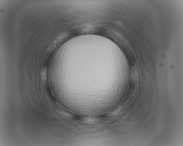 X0000074230127200609151656
