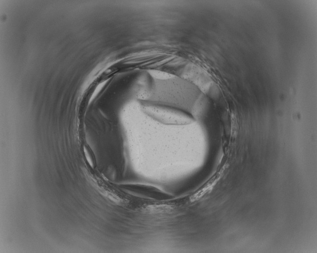 X0000074230150200609151655