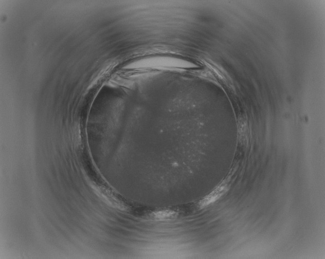 X0000074230158200609151655