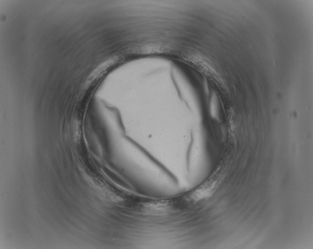 X0000074230164200609151655