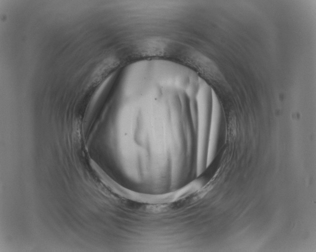 X0000074230172200609151655