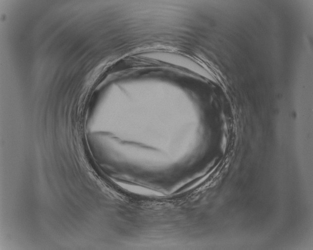 X0000074230193200609151655
