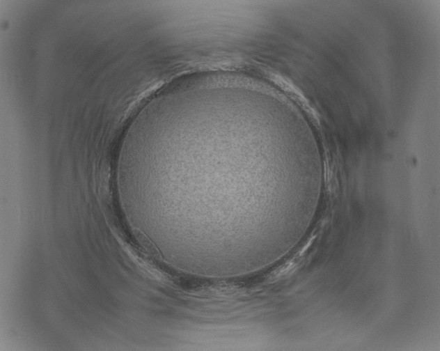 X0000074230201200609151654
