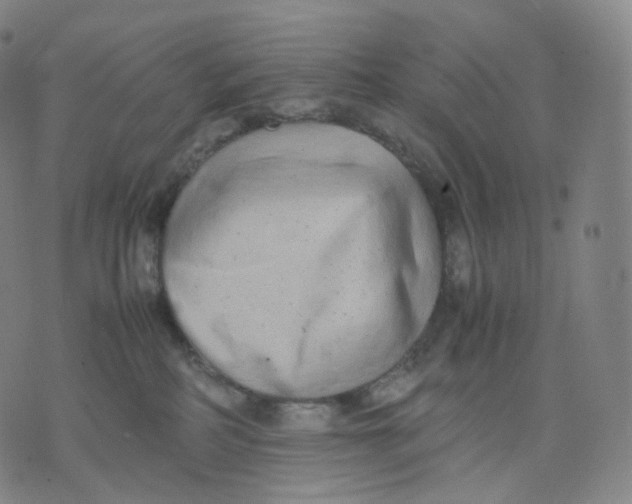 X0000074230234200609151654