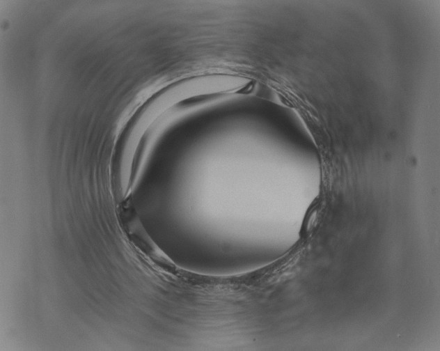 X0000074230244200609151653