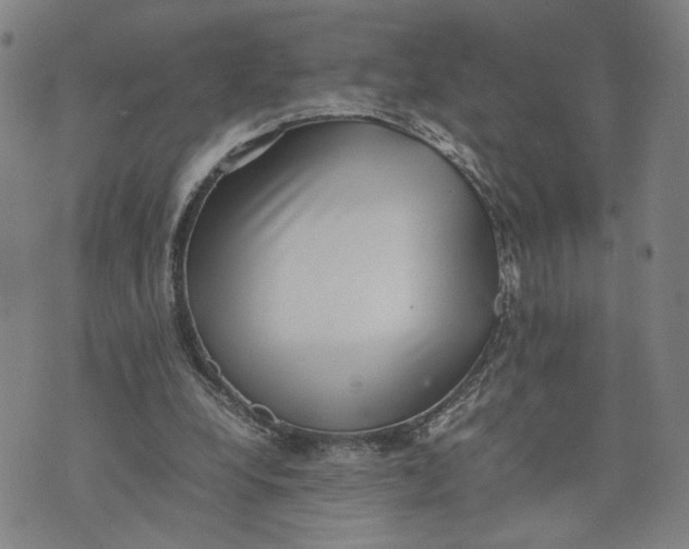 X0000074230248200609151653