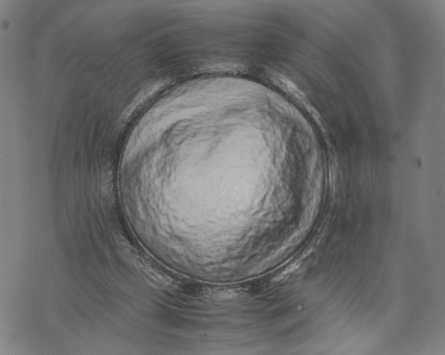 X0000074230249200609151653