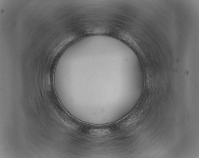 X0000074230251200609151653