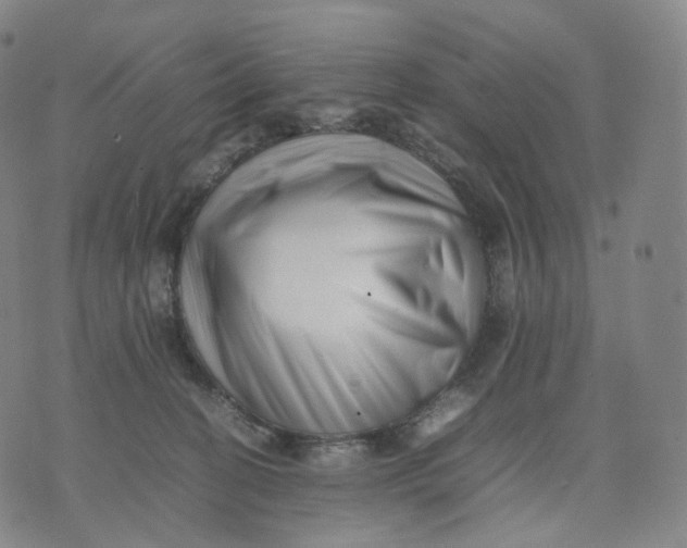 X0000074230274200609151654