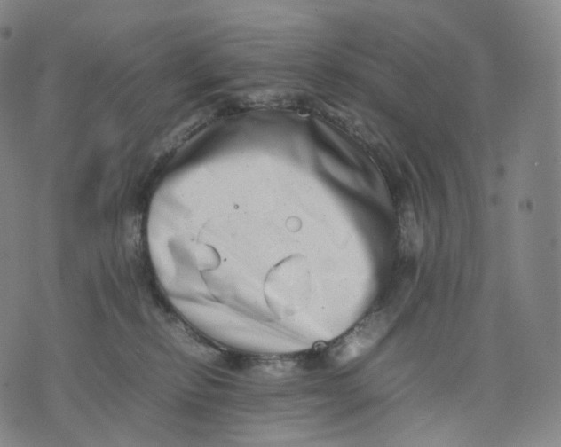 X0000074230278200609151654