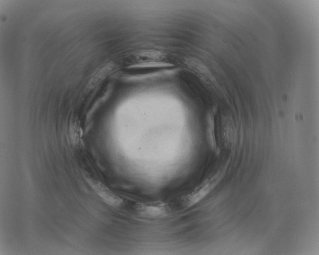 X0000074230285200609151654