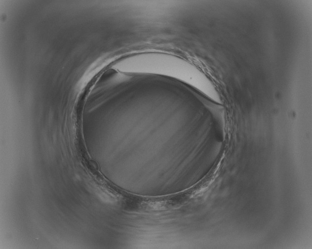 X0000074230295200609151653